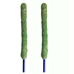 Casa De Amor 3 Feet Moss Stick, Green Grass Pole for Plants Support for Money Plant and Climbing Indoor Plants (Set of 2)