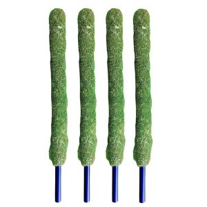 Casa De Amor 3 Feet Moss Stick, Green Grass Pole for Plants Support for Money Plant and Climbing Indoor Plants (Set of 4)