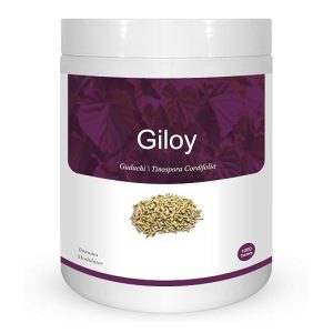 Herb Essential Giloy Tablets 500Mg 1000 Count | 100% Pure Guduchi (Tinospora Cordifolia) | Natural Immunity Booster & Brain Tonic | Supports Fever Recovery, Digestion & Liver Health
